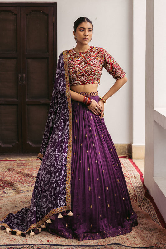 Maroon Patola Embroidered Lehenga