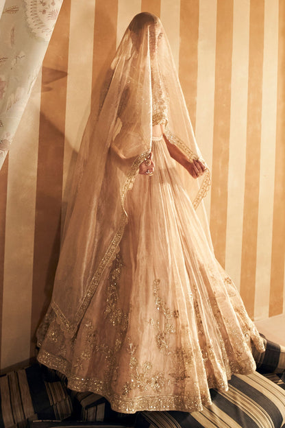 Zarina Lehenga set