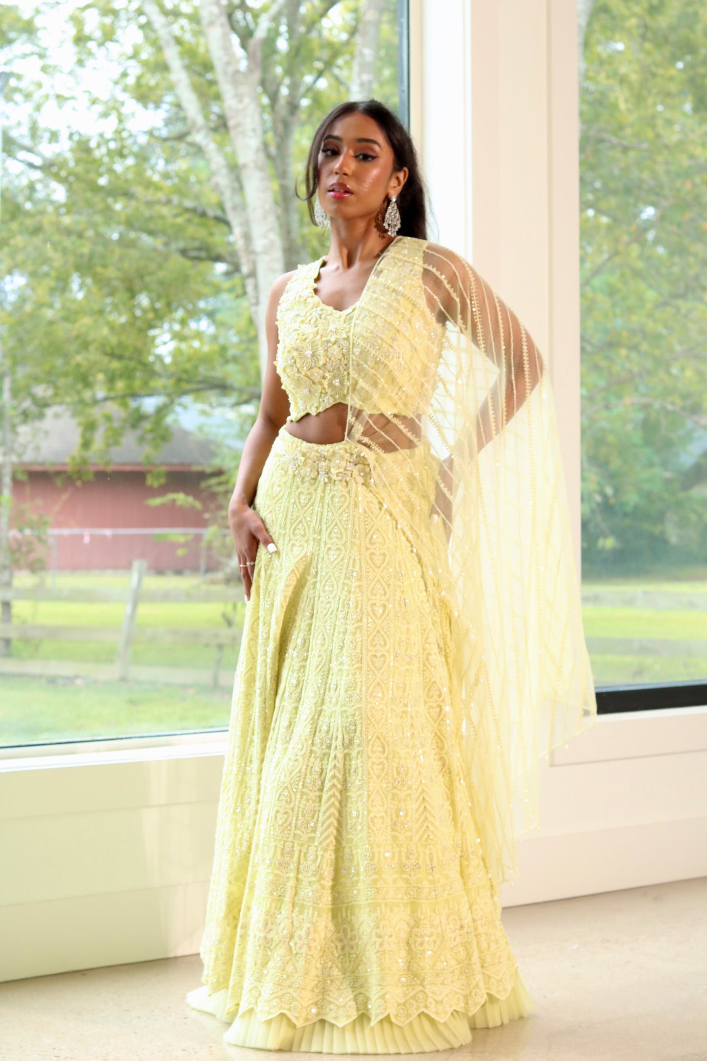 Lucknowi Lehenga