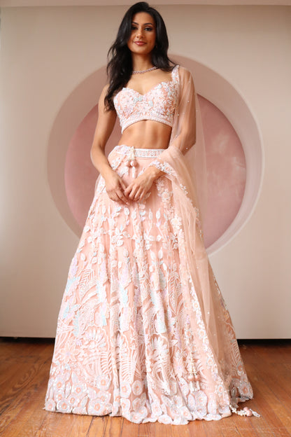 Ari Lehenga