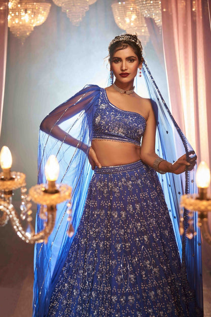 Royal Blue Hand Embroidered Lehenga Set