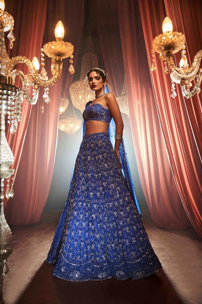 Royal Blue Hand Embroidered Lehenga Set