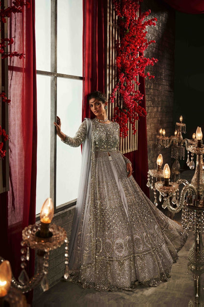 Grey Indo Western Hand Embroidered Lehenga Set