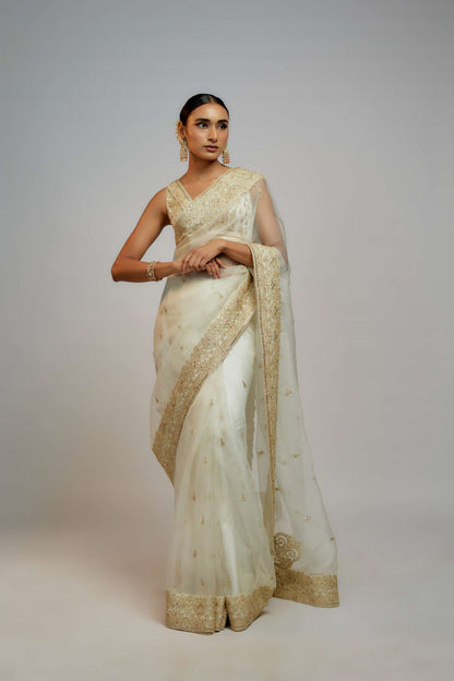 Golconda Maahi organza Saree set