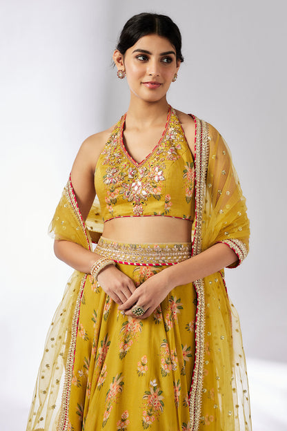 Bhairavi lehenga Set