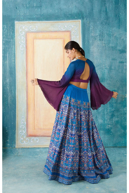 Blue Printed Lehenga Set