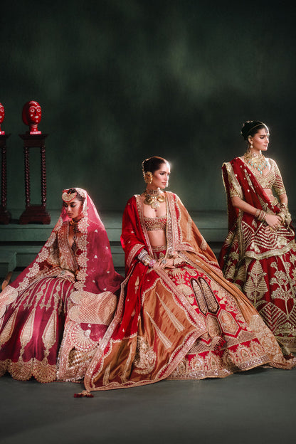 The Anar Bagh Lehenga Set