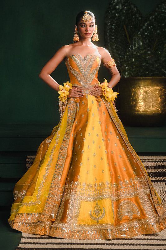 The Son Patissa Lehenga