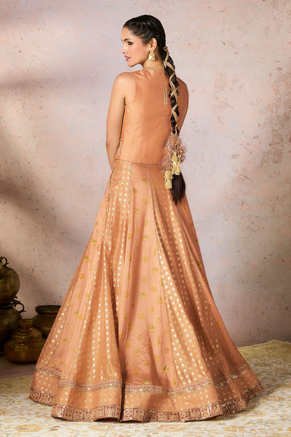 Salmon Trinkets Lehenga Set