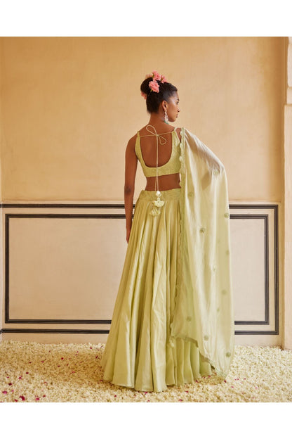 Mint Lehenga Paired With Blouse & Dupatta