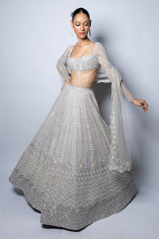 Lustrous Silver Raw Silk Hand Embroidered Lehenga Set